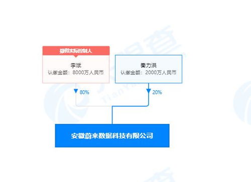 李斌投資成立蔚來數據公司，深化計算機系統集成服務布局